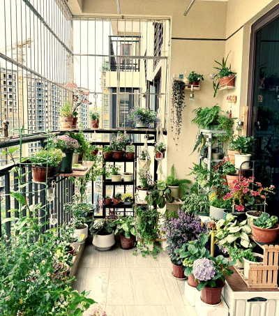 沉浸式阳台养花