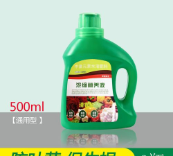 绿化景观设计，提升环境品质，创造宜人空间