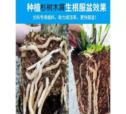 绿化景观设计，提升环境品质，创造宜人空间