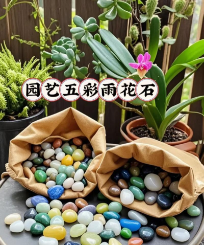 玫瑰花怎么养才不会枯萎，掌握浇水施肥技巧，轻松延长花期