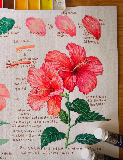 玫瑰花怎么养才不会枯萎，掌握浇水施肥技巧，轻松延长花期