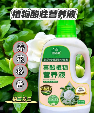 家庭养花用生根粉