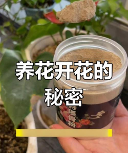 家庭养花用生根粉