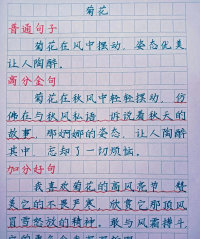 无土栽培技术，突破土壤限制，开启高效种植新篇章