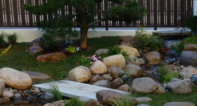 栽培的意思，核心概念，通俗理解