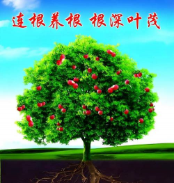 根深叶茂本固枝荣养花