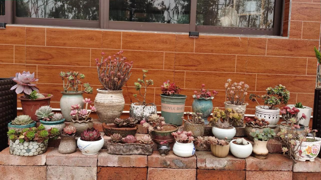 别墅园林绿化设计，打造私密空间，提升居住品质