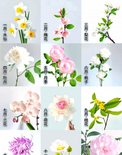 别墅园林绿化设计，打造私密空间，提升居住品质