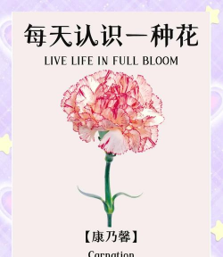 别墅园林绿化设计，打造私密空间，提升居住品质