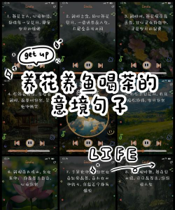 别墅园林绿化设计，打造私密空间，提升居住品质