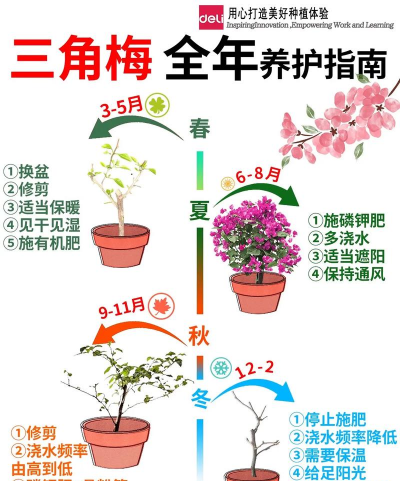 别墅园林绿化设计，打造私密空间，提升居住品质