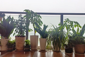 别墅园林绿化设计，打造私密空间，提升居住品质