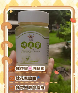 绿化景观设计，提升环境品质，创造宜人空间