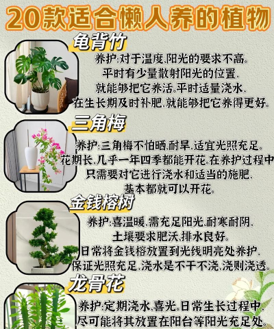 绿化景观设计，提升环境品质，创造宜人空间