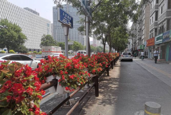 绿化景观设计，提升环境品质，创造宜人空间