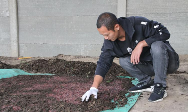 绿化景观设计，提升环境品质，创造宜人空间