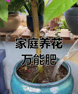 绿化景观设计，提升环境品质，创造宜人空间