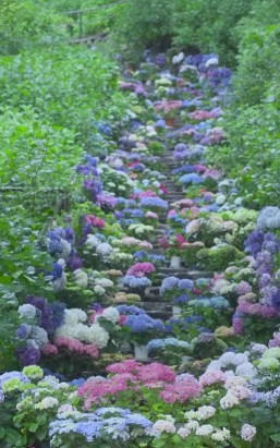 绿化景观设计，提升环境品质，创造宜人空间