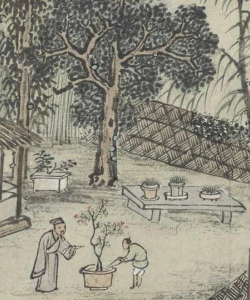 绿化景观设计，提升环境品质，创造宜人空间