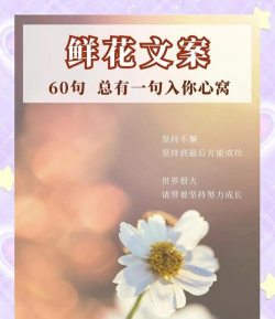 柿树虫病防治，识别常见虫害，掌握有效方法