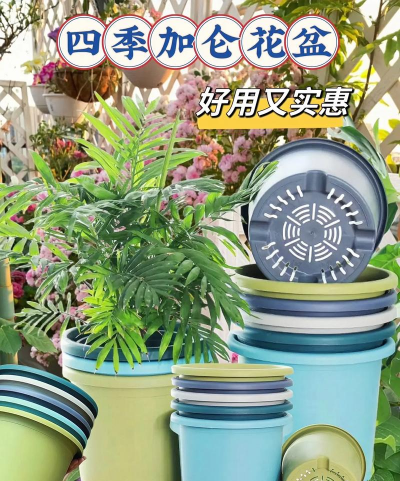 柿树虫病防治，识别常见虫害，掌握有效方法