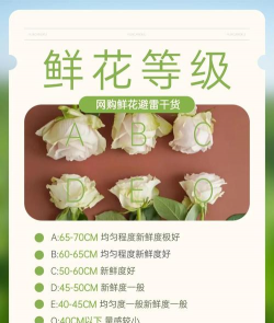 柿树虫病防治，识别常见虫害，掌握有效方法