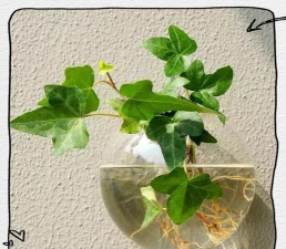 绿化景观设计，提升环境品质，创造宜人空间