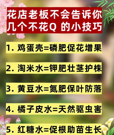 家庭养花用生根粉