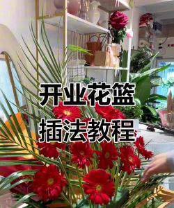 玫瑰花怎么养才不会枯萎，掌握浇水施肥技巧，轻松延长花期