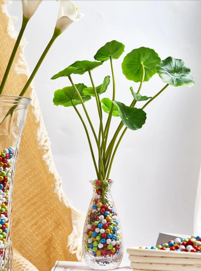 玫瑰花怎么养才不会枯萎，掌握浇水施肥技巧，轻松延长花期