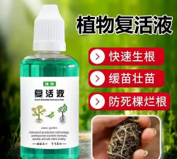 家庭养花用生根粉