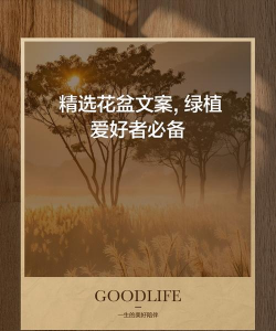 智能养花盆文案