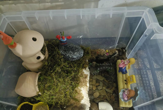 家庭养花用生根粉