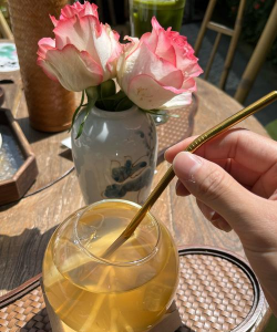 兰草花怎么养，掌握关键技巧，轻松培育美丽花朵