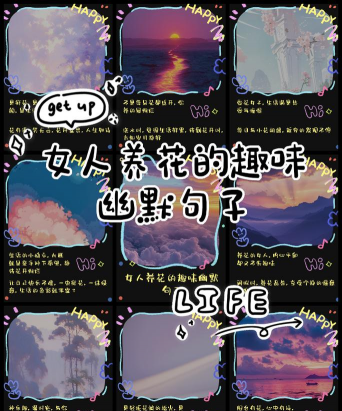 兰草花怎么养，掌握关键技巧，轻松培育美丽花朵