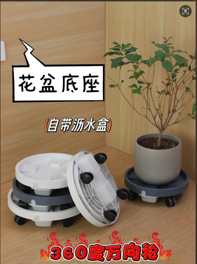 绯花玉怎么养，掌握关键技巧，轻松养出好状态