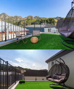 兰草花怎么养，掌握关键技巧，轻松培育美丽花朵