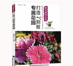 兰草花怎么养，掌握关键技巧，轻松培育美丽花朵