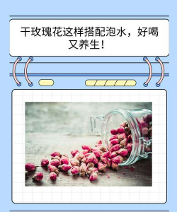 柿树虫病防治，识别常见虫害，掌握有效方法