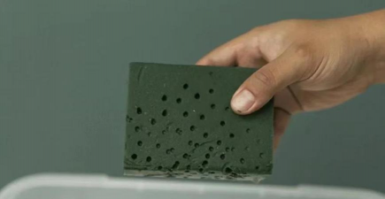 柿树虫病防治，识别常见虫害，掌握有效方法