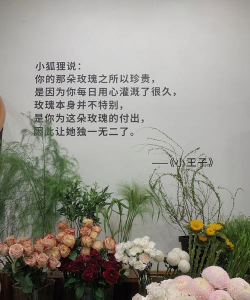 芍药花怎么养，掌握关键要点，花开更鲜艳