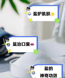 兰草花怎么养，掌握关键技巧，轻松培育美丽花朵