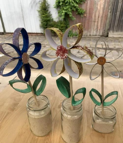 柿树虫病防治，识别常见虫害，掌握有效方法