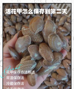 柿树虫病防治，识别常见虫害，掌握有效方法