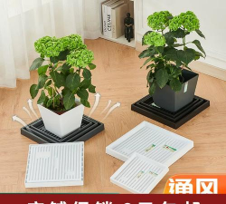 葡萄栽培，掌握关键技术，实现优质丰产