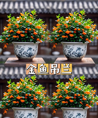 玫瑰花怎么养才不会枯萎，掌握浇水施肥技巧，轻松延长花期