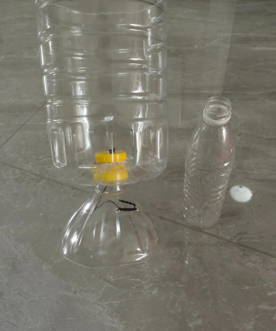 玫瑰花怎么养才不会枯萎，掌握浇水施肥技巧，轻松延长花期