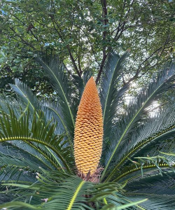 绿化景观设计，提升环境品质，创造宜人空间