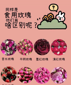 玫瑰怕什么东西