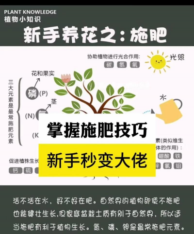 别墅园林绿化设计，打造私密空间，提升居住品质